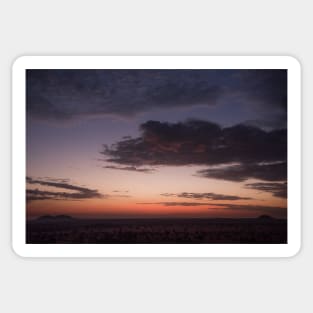 Serengeti Sunrise Sticker